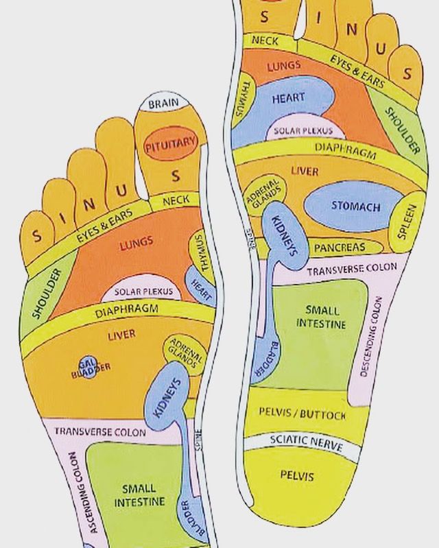 SCIENCE BEHIND THE FOOT REFLEXOLOGY