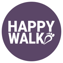 Diabetic & Orthopedic Footwear India - Happywalk